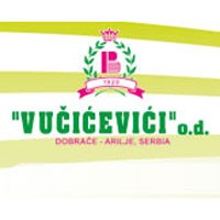 vucicevici