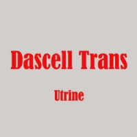 dascelltrans