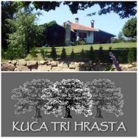 trihrasta