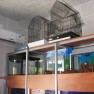 snoopy-pet-shop