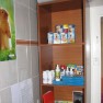 snoopy-pet-shop