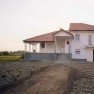 petrovic-v-montazne-kuce