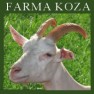 farma-koza