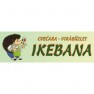 cvecara-ikebana-becej
