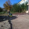 baja-zrenjanin